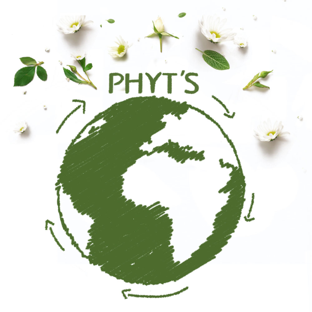 savoir-faire-export-monde illustration-monde-fleurs-vert-nature