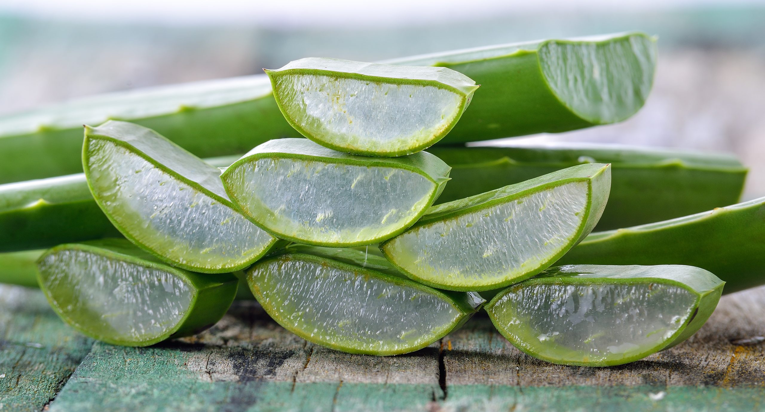 Gel d'aloe vera