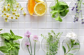 Cosméticos fitoterápicos orgânicos e naturais da Phyt