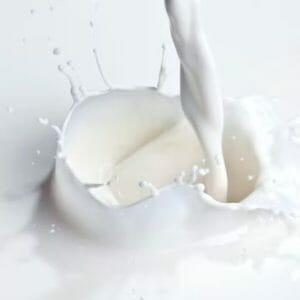 Melk proteïnen