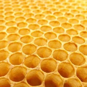 Beeswax*